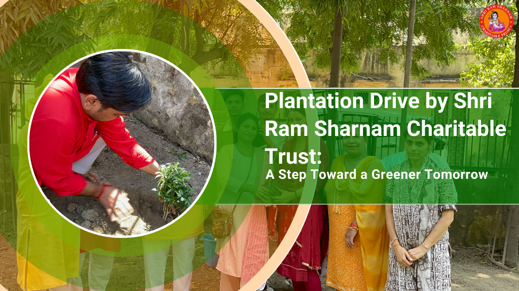 Plantation Drive