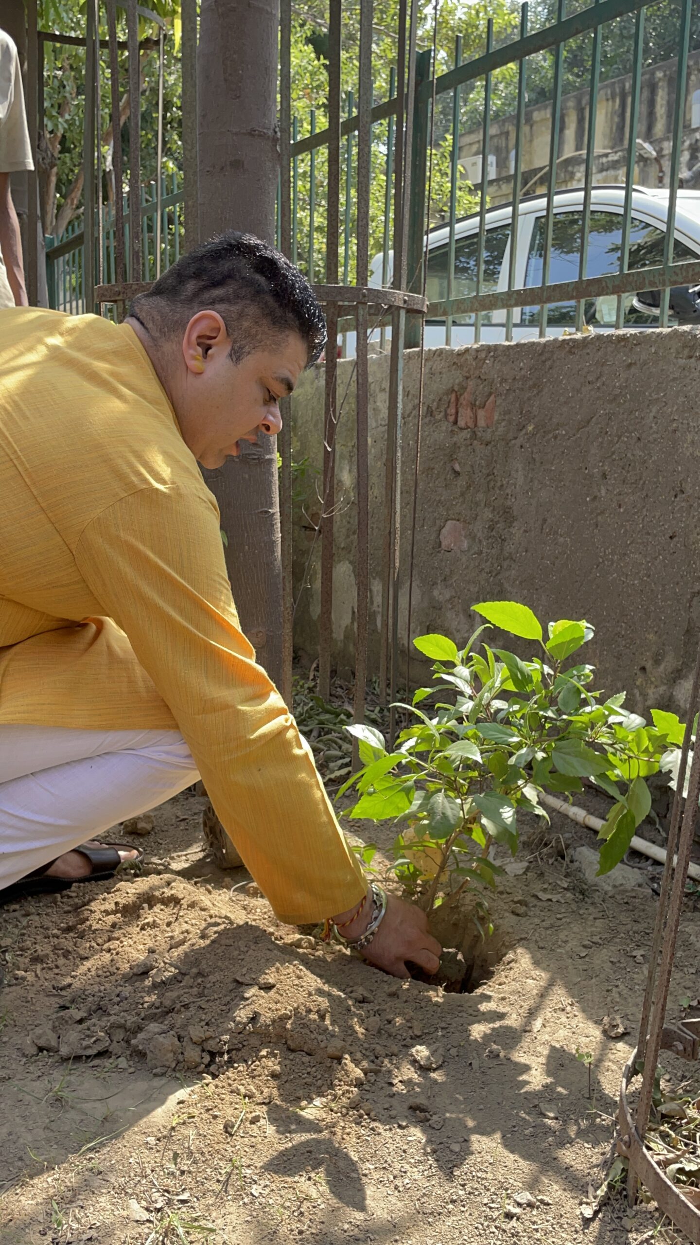 Planting Trees