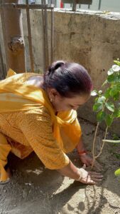 Planting Trees